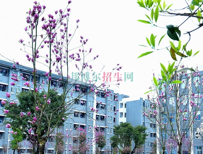 重慶商務(wù)職業(yè)學院是幾專