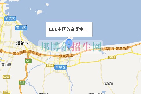 山東中醫(yī)藥高等?？茖W(xué)校