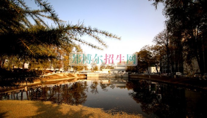 技職業(yè)技術(shù)學院招生辦聯(lián)系電話