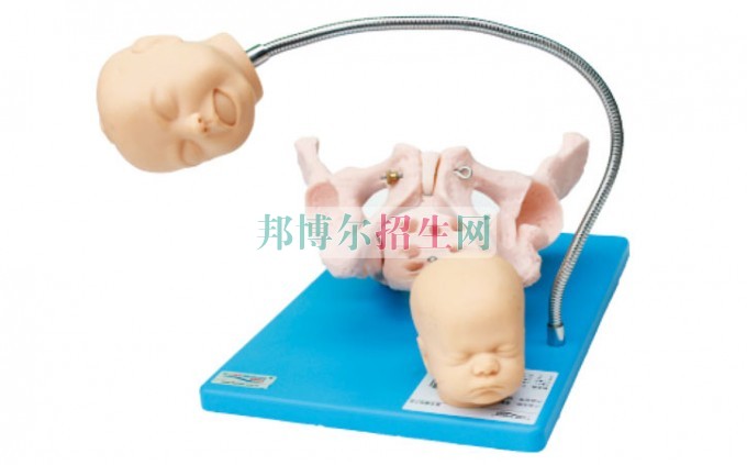 哪個學(xué)校有助產(chǎn)護理