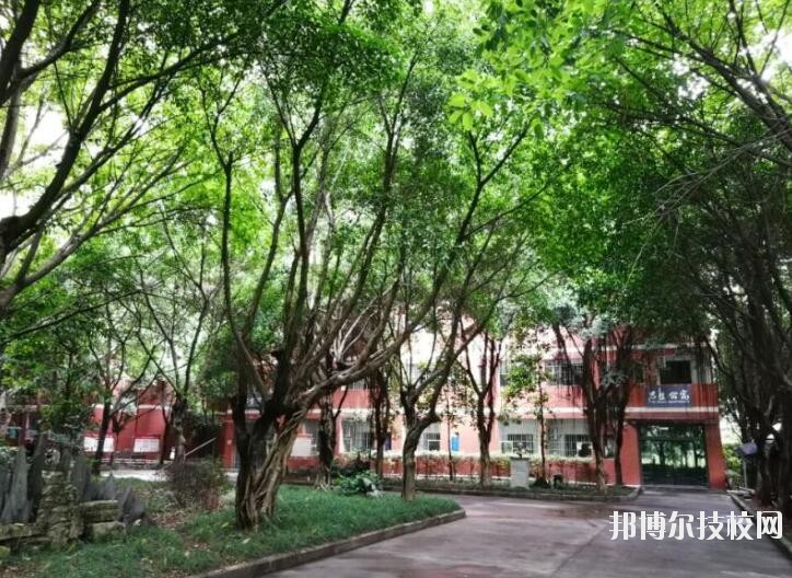 重慶舞蹈學(xué)校2020年報(bào)名條件、招生要求、招生對(duì)象