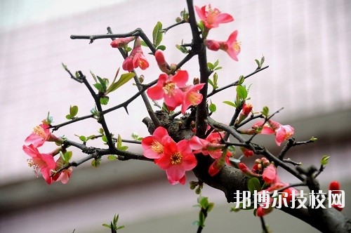 貴州廣播電影電視學(xué)校怎么樣、好不好