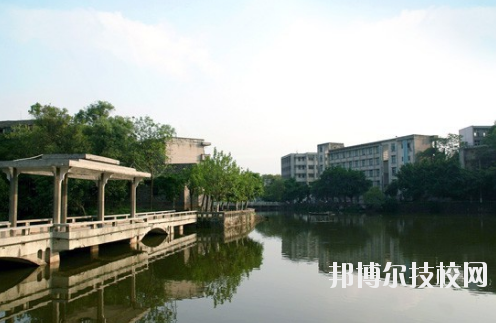 重慶紅春藤技工學校2020年報名條件、招生要求、招生對象