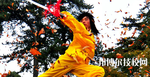 平?jīng)鲠轻嘉奈鋵W(xué)校2020年報(bào)名條件、招生要求、招生對(duì)象