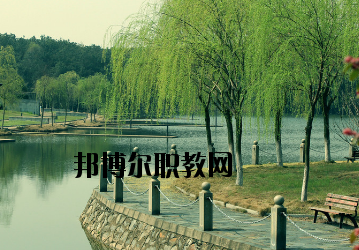重慶計(jì)算機(jī)職業(yè)高級中學(xué)網(wǎng)站網(wǎng)址 