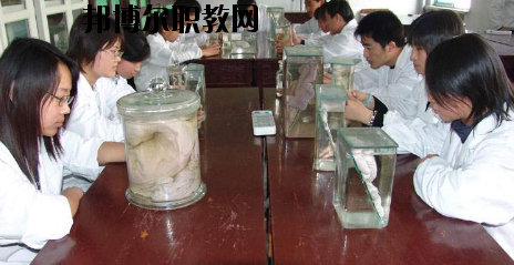 隴南農(nóng)業(yè)學(xué)校2020年招生辦聯(lián)系電話(huà)