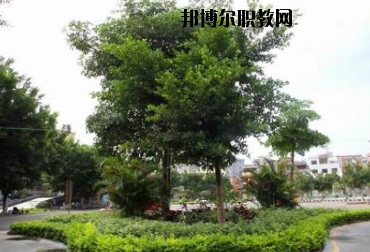 羅定中等職業(yè)技術(shù)學(xué)校2020年報名條件、招生要求、招生對象
