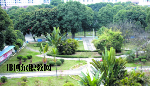 廣西百色農(nóng)業(yè)學校2020年報名條件、招生要求、招生對象 