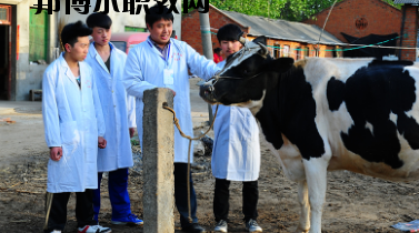 甘南畜牧學校2020年學費、收費多少