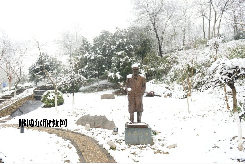 南京工業(yè)大學(xué)2020年報(bào)名條件、招生要求、招生對(duì)象