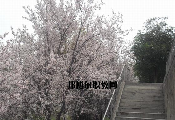 ?？德毥讨行膶W(xué)校網(wǎng)址網(wǎng)站