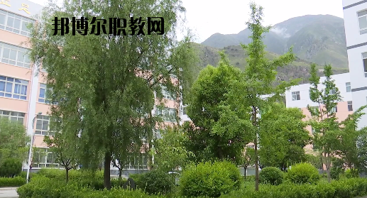 文縣職業(yè)技術(shù)學(xué)校2020年報名條件、招生要求、招生對象