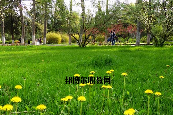 雙江縣職教中心2020年報名條件、招生要求、招生對象