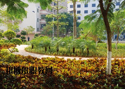 湛江技師學院怎么樣、好不好