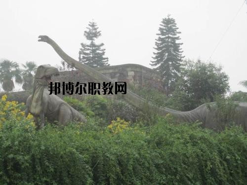 自貢三星職業(yè)技術(shù)學(xué)校2020年報(bào)名條件、招生要求、招生對象