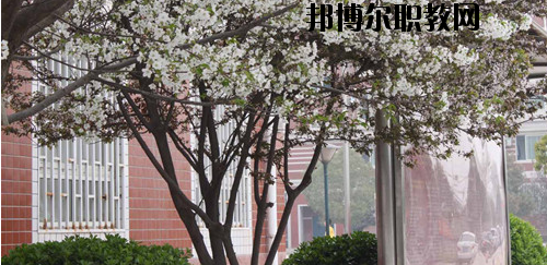 鄭州財經技師學院2021年有哪些專業(yè)