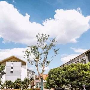 南京科技職業(yè)學院怎么樣、好不好