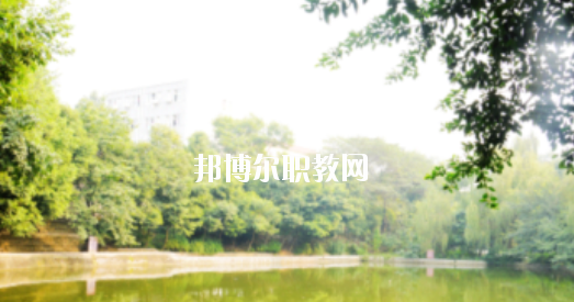 崇左八桂城市中等職業(yè)技術(shù)學(xué)校怎么樣、好不好