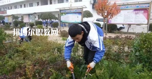 秦安縣古城農(nóng)業(yè)中學(xué)怎么樣、好不好