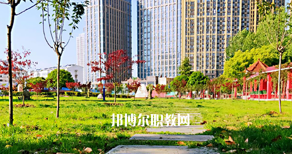 合肥飛躍學校2020年報名條件、招生要求、招生對象 