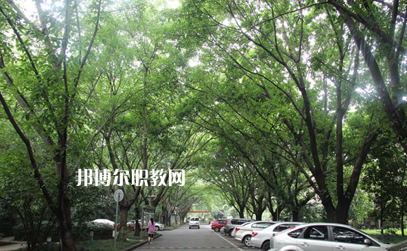 重慶2021年中專學(xué)?？梢钥即髮W(xué)嗎