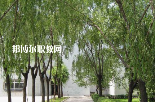 新疆喀什地區(qū)衛(wèi)生學(xué)校2021年報(bào)名條件、招生要求、招生對(duì)象