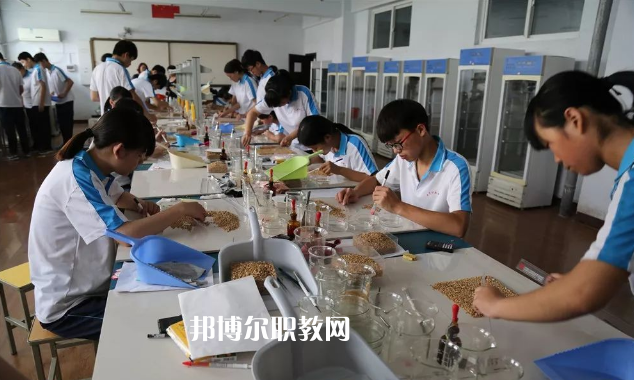 武邑奮飛職業(yè)技術(shù)中等學校地址在哪里