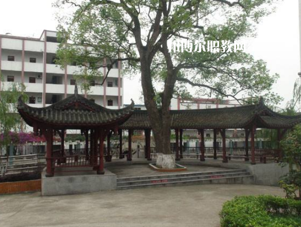 四川合江先市職業(yè)高級中學校怎么樣、好不好