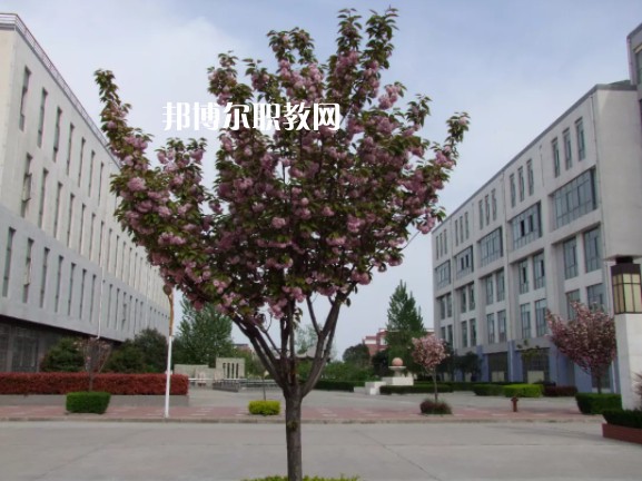 陳倉區(qū)職業(yè)教育中心2022年報名條件、招生要求、招生對象