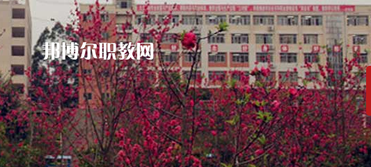 岑溪市中等專業(yè)學(xué)校2022年報(bào)名條件、招生要求、招生對象