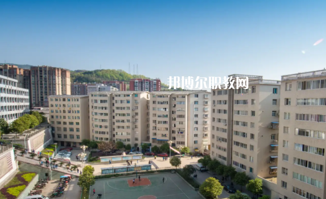 四川省南江縣職業(yè)中學2022年網站網址
