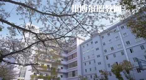 武漢體育舞蹈藝術(shù)學(xué)校2022年怎么樣、好不好