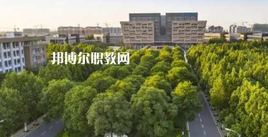 2023山東十大?？茖W校名單及排行榜