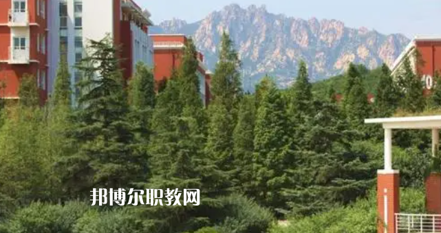2023青島市本地大專(zhuān)院校排名
