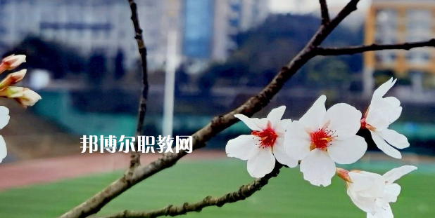 2023眉山技師學(xué)院招生計(jì)劃 招生人數(shù)是多少(附要求、條件、對(duì)象)