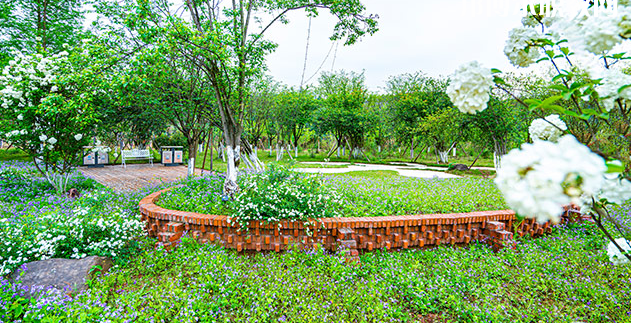 重慶望江技工學(xué)校地址在哪里，哪個(gè)地區(qū)，哪個(gè)城市?