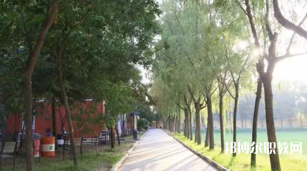 2023西安大中科技技工學(xué)校招生計(jì)劃 招生人數(shù)是多少(附要求、條件、對象)