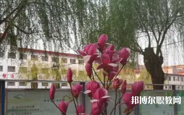 2023柏鄉(xiāng)縣職教中心招生計劃 招生人數(shù)是多少(附要求、條件、對象)