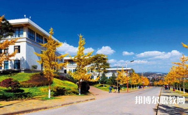凌云縣職業(yè)技術(shù)學校地址，乘車路線