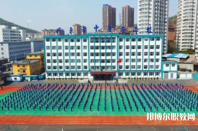 2024丹東市中醫(yī)藥學(xué)校招生計(jì)劃 招生人數(shù)是多少(附要求、條件、對(duì)象)