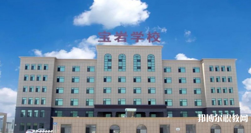 2025沈陽寶巖藝術(shù)學(xué)校招生計劃 招生人數(shù)是多少(附要求、條件、對象)